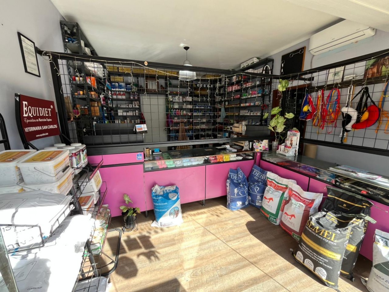 Venta Local comercial + vivienda sobre Dardo Rocha 